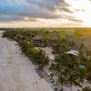 cabana-los-lirios-tulum.quintano-roohotels.com/